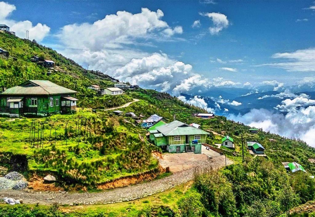 Temi Sikkim Tea Estate