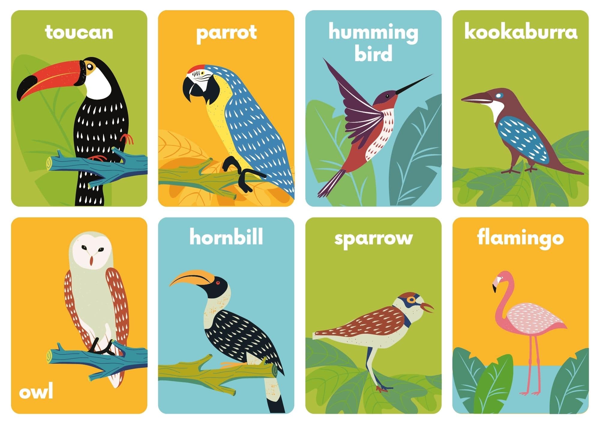 bird-pictures-with-names